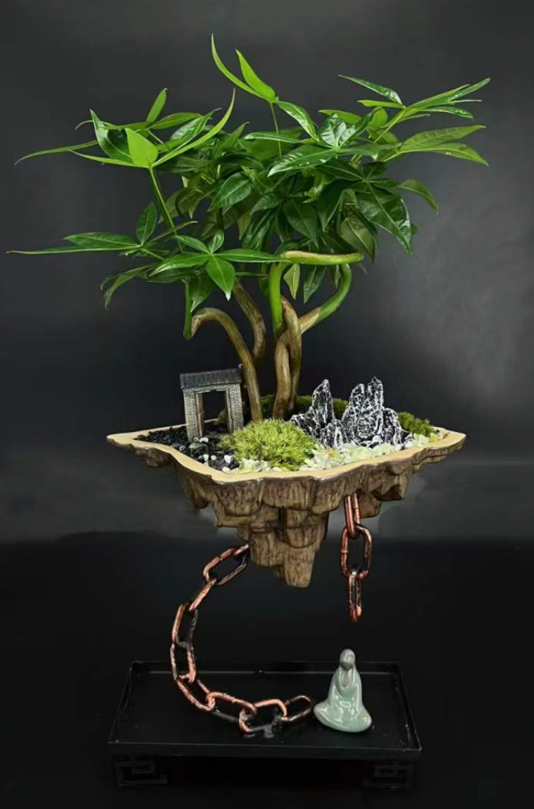 Castle in the Sky 01-園藝工程-節日花卉-除草-植物批發-真聖誕樹-美國聖誕樹-園林綠化-修樹工程-私人花園-園藝保養-蘭花-菊花-四季桔-芍藥-聖誕花-工程-詠昇-元朗花場-羅漢松-Christmas tree-Garden maintenance-Wingsing Garden-Yuen Long Garden