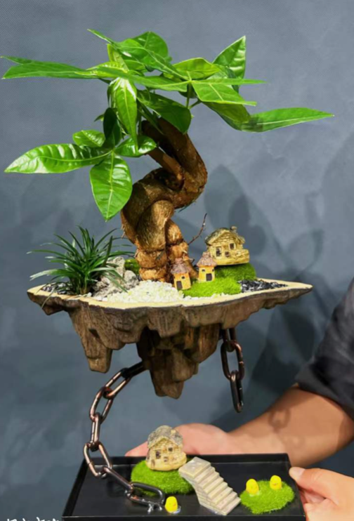 Castle in the sky 02-園藝工程-節日花卉-除草-植物批發-真聖誕樹-美國聖誕樹-園林綠化-修樹工程-私人花園-園藝保養-蘭花-菊花-四季桔-芍藥-聖誕花-工程-詠昇-元朗花場-羅漢松-Christmas tree-Garden maintenance-Wingsing Garden-Yuen Long Garden