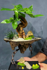 Castle in the sky 02-園藝工程-節日花卉-除草-植物批發-真聖誕樹-美國聖誕樹-園林綠化-修樹工程-私人花園-園藝保養-蘭花-菊花-四季桔-芍藥-聖誕花-工程-詠昇-元朗花場-羅漢松-Christmas tree-Garden maintenance-Wingsing Garden-Yuen Long Garden