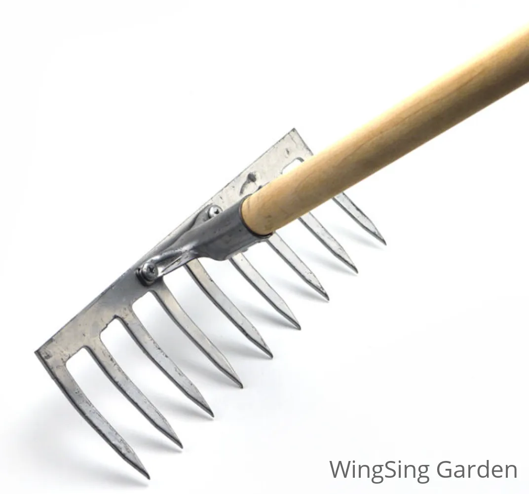 Rake-園藝工程-節日花卉-除草-植物批發-真聖誕樹-美國聖誕樹-園林綠化-修樹工程-私人花園-園藝保養-蘭花-菊花-四季桔-芍藥-聖誕花-工程-詠昇-元朗花場-羅漢松-Christmas tree-Garden maintenance-Wingsing Garden-Yuen Long Garden