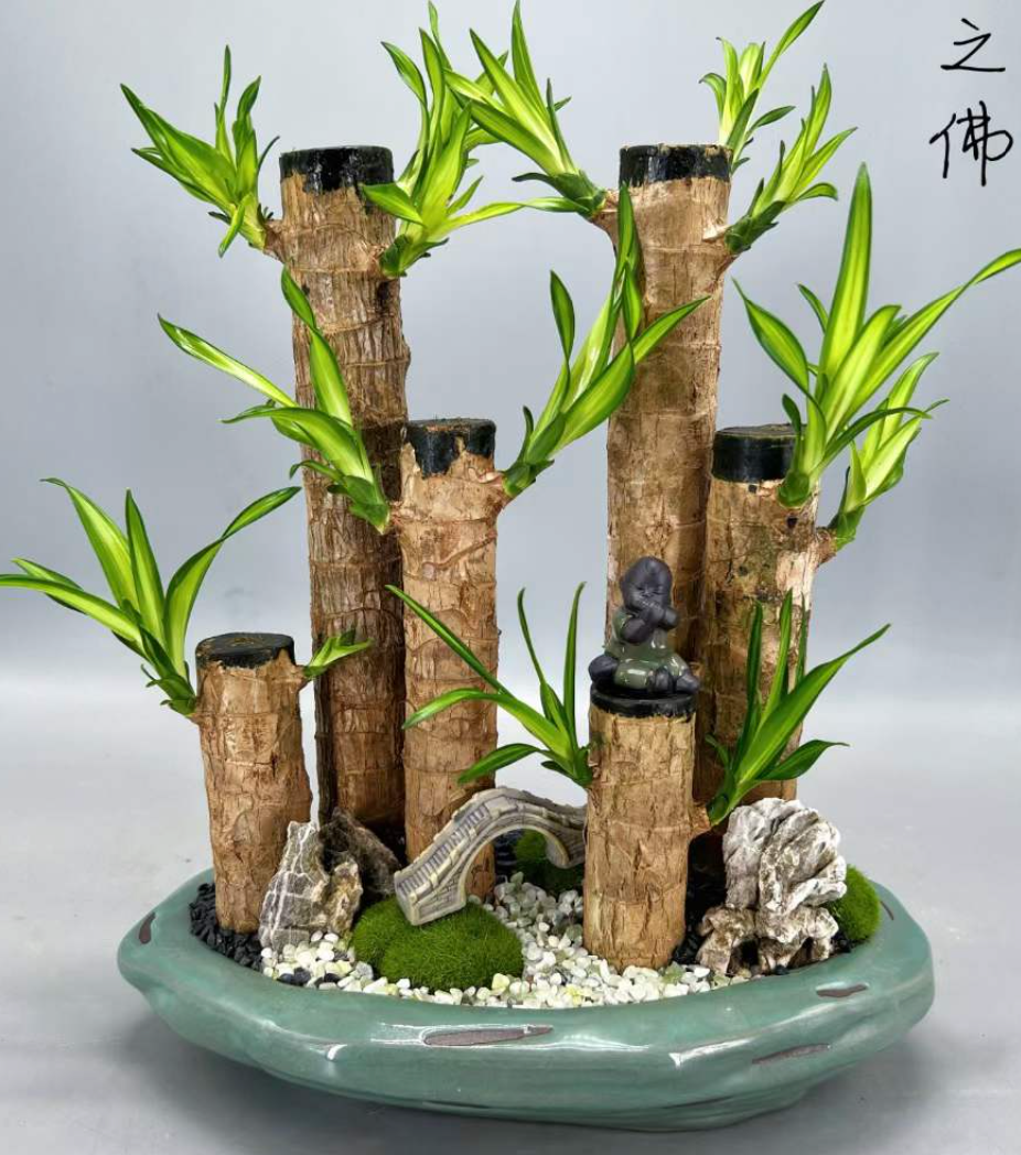 Buddha of luck-園藝工程-節日花卉-除草-植物批發-真聖誕樹-美國聖誕樹-園林綠化-修樹工程-私人花園-園藝保養-蘭花-菊花-四季桔-芍藥-聖誕花-工程-詠昇-元朗花場-羅漢松-Christmas tree-Garden maintenance-Wingsing Garden-Yuen Long Garden