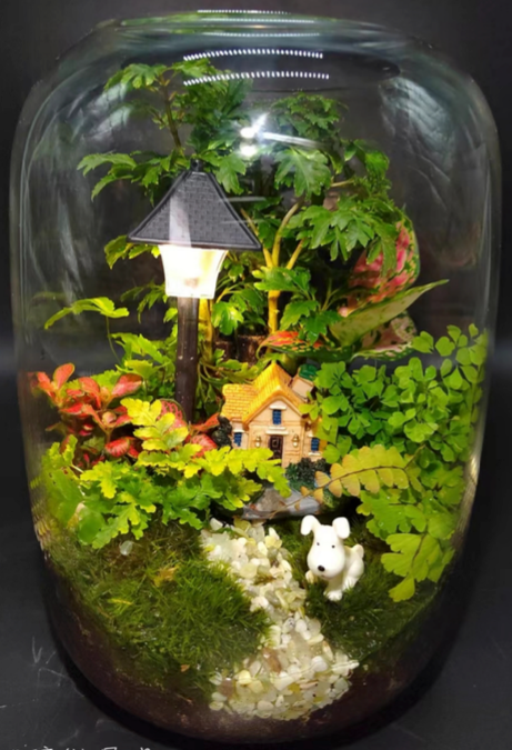 ideal home-園藝工程-節日花卉-除草-植物批發-真聖誕樹-美國聖誕樹-園林綠化-修樹工程-私人花園-園藝保養-蘭花-菊花-四季桔-芍藥-聖誕花-工程-詠昇-元朗花場-羅漢松-Christmas tree-Garden maintenance-Wingsing Garden-Yuen Long Garden