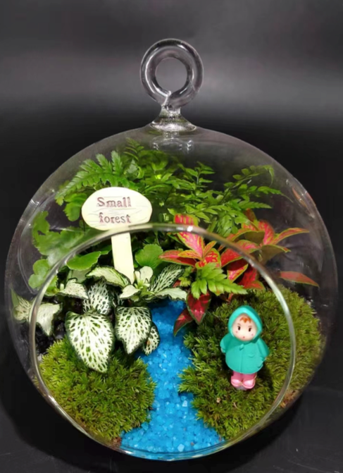 Small lob-園藝工程-節日花卉-除草-植物批發-真聖誕樹-美國聖誕樹-園林綠化-修樹工程-私人花園-園藝保養-蘭花-菊花-四季桔-芍藥-聖誕花-工程-詠昇-元朗花場-羅漢松-Christmas tree-Garden maintenance-Wingsing Garden-Yuen Long Garden