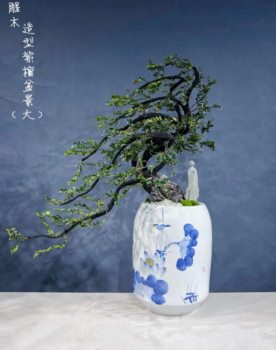 Pterocarpus indicus 02-園藝工程-節日花卉-除草-植物批發-真聖誕樹-美國聖誕樹-園林綠化-修樹工程-私人花園-園藝保養-蘭花-菊花-四季桔-芍藥-聖誕花-工程-詠昇-元朗花場-羅漢松-Christmas tree-Garden maintenance-Wingsing Garden-Yuen Long Garden