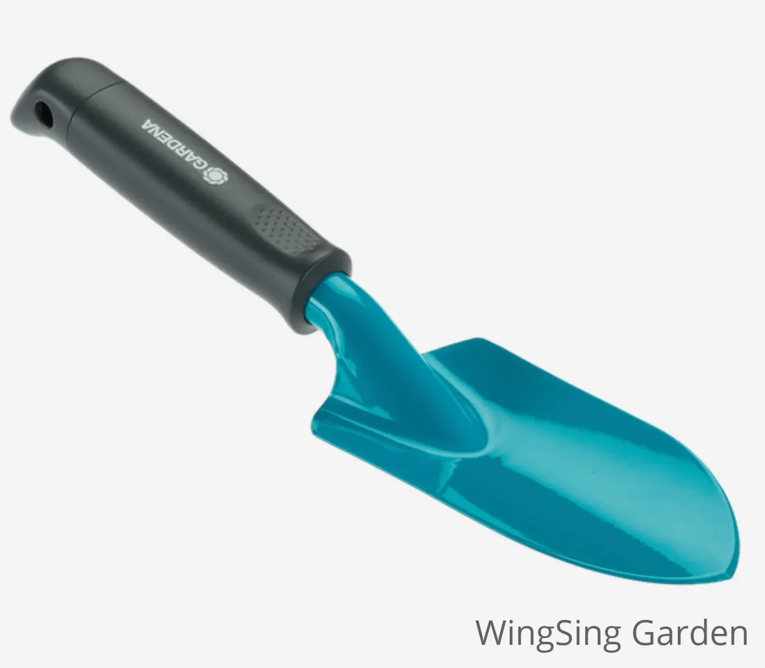 Trowel-園藝工程-節日花卉-除草-植物批發-真聖誕樹-美國聖誕樹-園林綠化-修樹工程-私人花園-園藝保養-蘭花-菊花-四季桔-芍藥-聖誕花-工程-詠昇-元朗花場-羅漢松-Christmas tree-Garden maintenance-Wingsing Garden-Yuen Long Garden