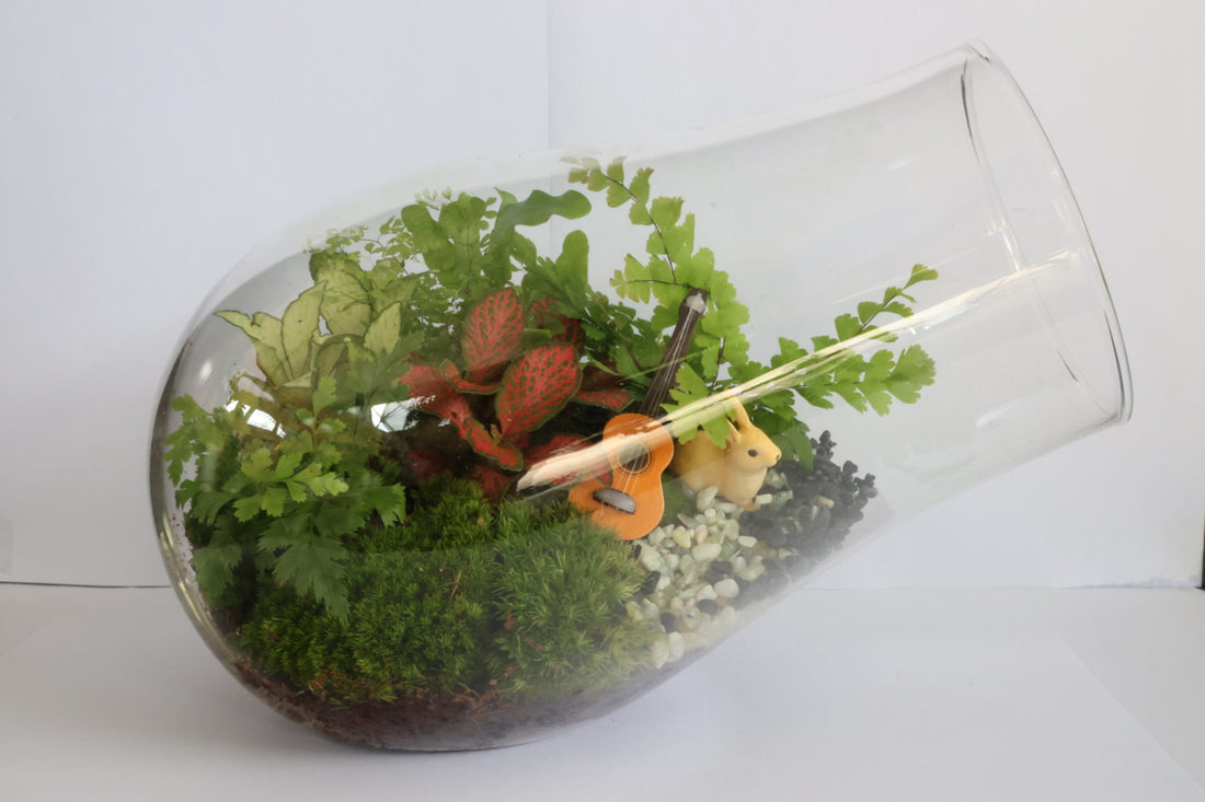 pandora mystery-園藝工程-節日花卉-除草-植物批發-真聖誕樹-美國聖誕樹-園林綠化-修樹工程-私人花園-園藝保養-蘭花-菊花-四季桔-芍藥-聖誕花-工程-詠昇-元朗花場-羅漢松-Christmas tree-Garden maintenance-Wingsing Garden-Yuen Long Garden