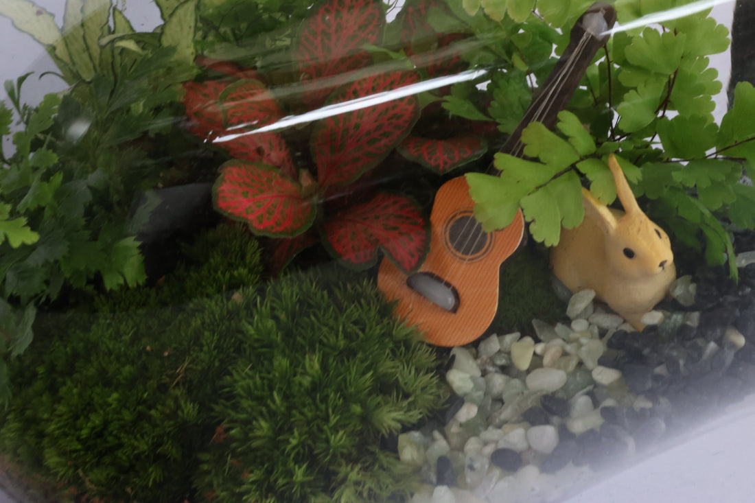 pandora mystery-園藝工程-節日花卉-除草-植物批發-真聖誕樹-美國聖誕樹-園林綠化-修樹工程-私人花園-園藝保養-蘭花-菊花-四季桔-芍藥-聖誕花-工程-詠昇-元朗花場-羅漢松-Christmas tree-Garden maintenance-Wingsing Garden-Yuen Long Garden