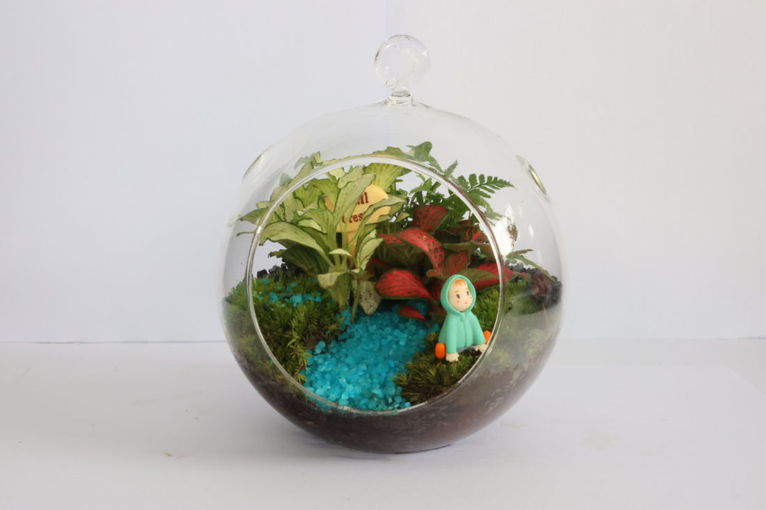 Small lob-園藝工程-節日花卉-除草-植物批發-真聖誕樹-美國聖誕樹-園林綠化-修樹工程-私人花園-園藝保養-蘭花-菊花-四季桔-芍藥-聖誕花-工程-詠昇-元朗花場-羅漢松-Christmas tree-Garden maintenance-Wingsing Garden-Yuen Long Garden