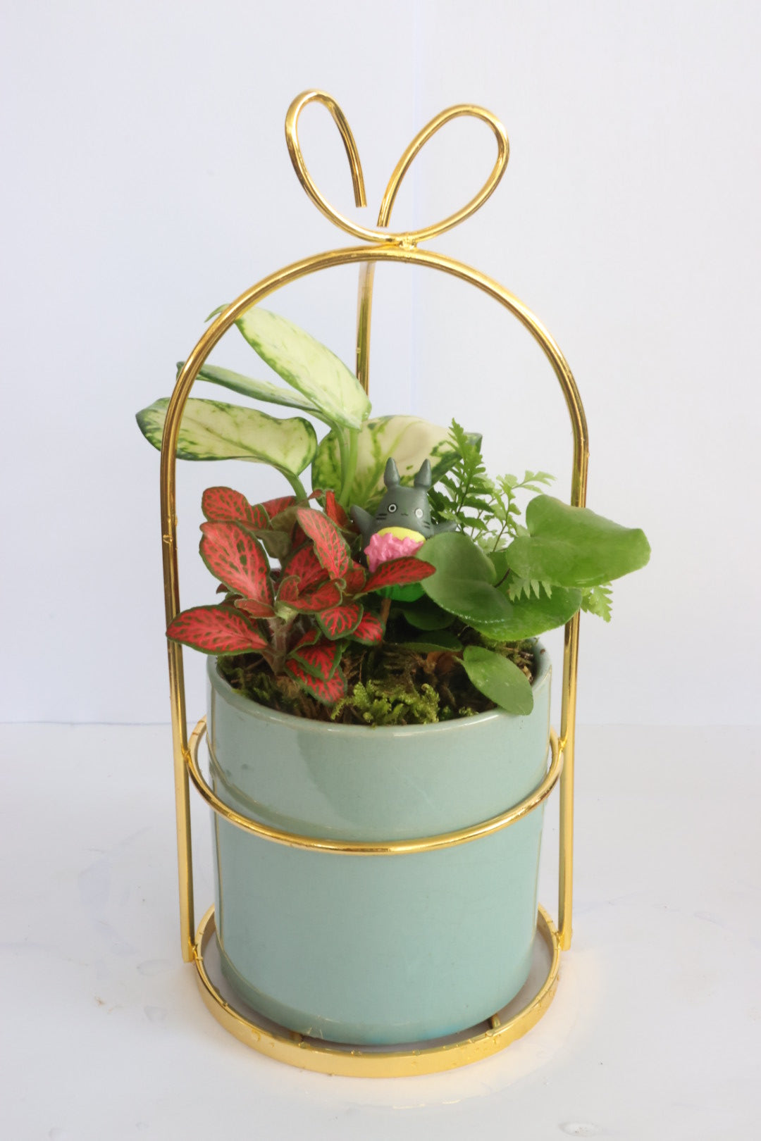 Dream world (blue pot)-園藝工程-節日花卉-除草-植物批發-真聖誕樹-美國聖誕樹-園林綠化-修樹工程-私人花園-園藝保養-蘭花-菊花-四季桔-芍藥-聖誕花-工程-詠昇-元朗花場-羅漢松-Christmas tree-Garden maintenance-Wingsing Garden-Yuen Long Garden