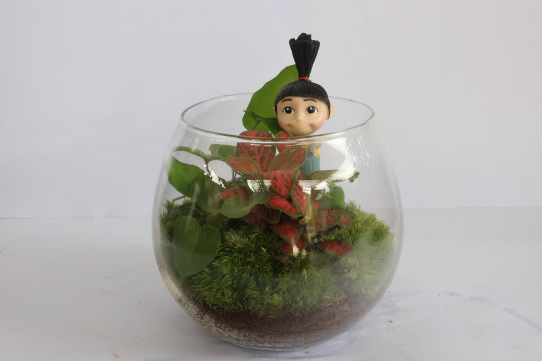 Mini ball (Agnes)-園藝工程-節日花卉-除草-植物批發-真聖誕樹-美國聖誕樹-園林綠化-修樹工程-私人花園-園藝保養-蘭花-菊花-四季桔-芍藥-聖誕花-工程-詠昇-元朗花場-羅漢松-Christmas tree-Garden maintenance-Wingsing Garden-Yuen Long Garden