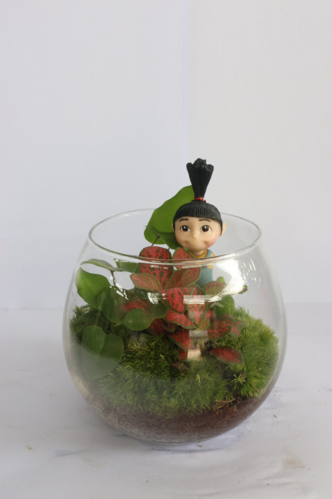 Mini ball (Agnes)-園藝工程-節日花卉-除草-植物批發-真聖誕樹-美國聖誕樹-園林綠化-修樹工程-私人花園-園藝保養-蘭花-菊花-四季桔-芍藥-聖誕花-工程-詠昇-元朗花場-羅漢松-Christmas tree-Garden maintenance-Wingsing Garden-Yuen Long Garden