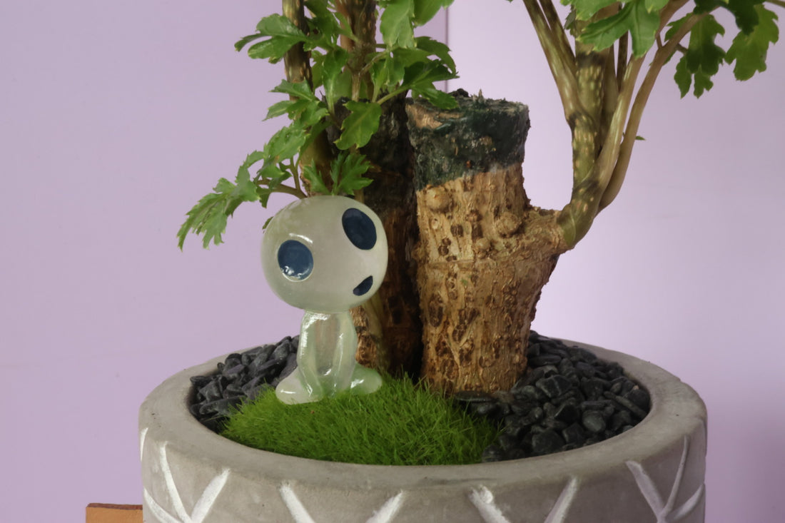 Polyscias - fine leaves -kodama(コダマ)-園藝工程-節日花卉-除草-植物批發-真聖誕樹-美國聖誕樹-園林綠化-修樹工程-私人花園-園藝保養-蘭花-菊花-四季桔-芍藥-聖誕花-工程-詠昇-元朗花場-羅漢松-Christmas tree-Garden maintenance-Wingsing Garden-Yuen Long Garden