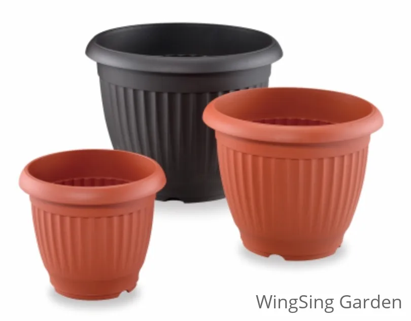 Plastic Pots-園藝工程-節日花卉-除草-植物批發-真聖誕樹-美國聖誕樹-園林綠化-修樹工程-私人花園-園藝保養-蘭花-菊花-四季桔-芍藥-聖誕花-工程-詠昇-元朗花場-羅漢松-Christmas tree-Garden maintenance-Wingsing Garden-Yuen Long Garden