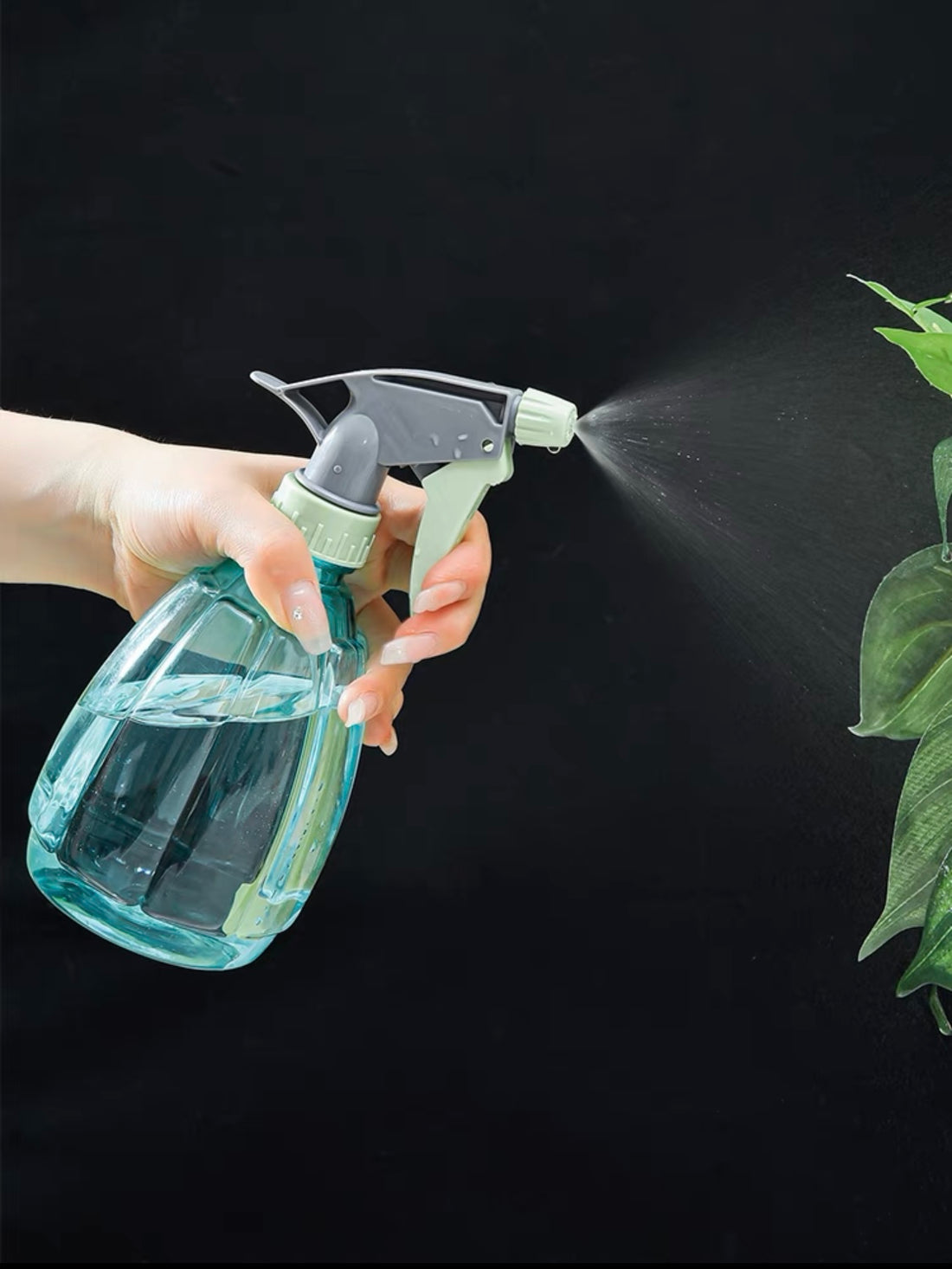 Watering Can 500ml - Transparent Green-園藝工程-節日花卉-除草-植物批發-真聖誕樹-美國聖誕樹-園林綠化-修樹工程-私人花園-園藝保養-蘭花-菊花-四季桔-芍藥-聖誕花-工程-詠昇-元朗花場-羅漢松-Christmas tree-Garden maintenance-Wingsing Garden-Yuen Long Garden