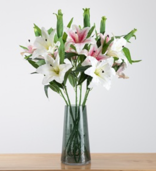 Oriental Lily-園藝工程-節日花卉-除草-植物批發-真聖誕樹-美國聖誕樹-園林綠化-修樹工程-私人花園-園藝保養-蘭花-菊花-四季桔-芍藥-聖誕花-工程-詠昇-元朗花場-羅漢松-Christmas tree-Garden maintenance-Wingsing Garden-Yuen Long Garden