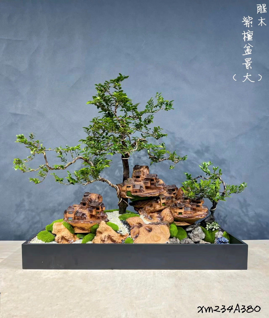 Pterocarpus santalinus 03 (紫檀)-園藝工程-節日花卉-除草-植物批發-真聖誕樹-美國聖誕樹-園林綠化-修樹工程-私人花園-園藝保養-蘭花-菊花-四季桔-芍藥-聖誕花-工程-詠昇-元朗花場-羅漢松-Christmas tree-Garden maintenance-Wingsing Garden-Yuen Long Garden