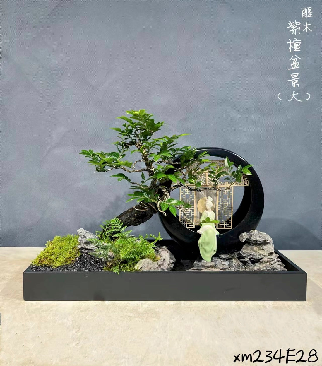 Pterocarpus santalinus 04(紫檀)-園藝工程-節日花卉-除草-植物批發-真聖誕樹-美國聖誕樹-園林綠化-修樹工程-私人花園-園藝保養-蘭花-菊花-四季桔-芍藥-聖誕花-工程-詠昇-元朗花場-羅漢松-Christmas tree-Garden maintenance-Wingsing Garden-Yuen Long Garden